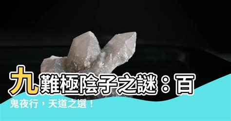 九難極陰子